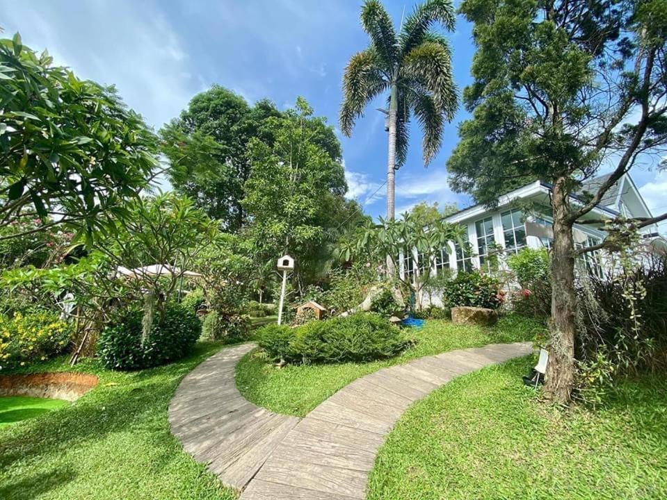 Baan Jaokorkluay บ้านเจ้ากอกล้วย Chiang Rai Exterior photo